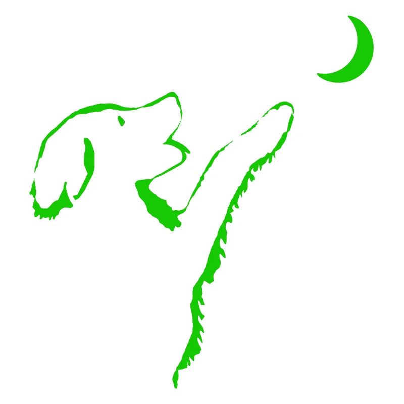 Chien regarde la lune