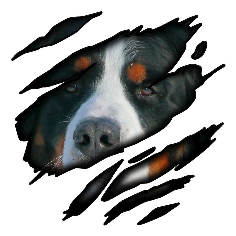 Berner Sennenhund en moi