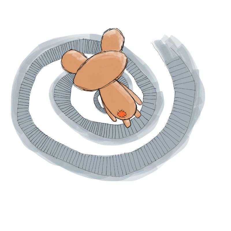 Lost Bear - Spiral