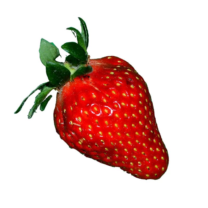 Erdbeere