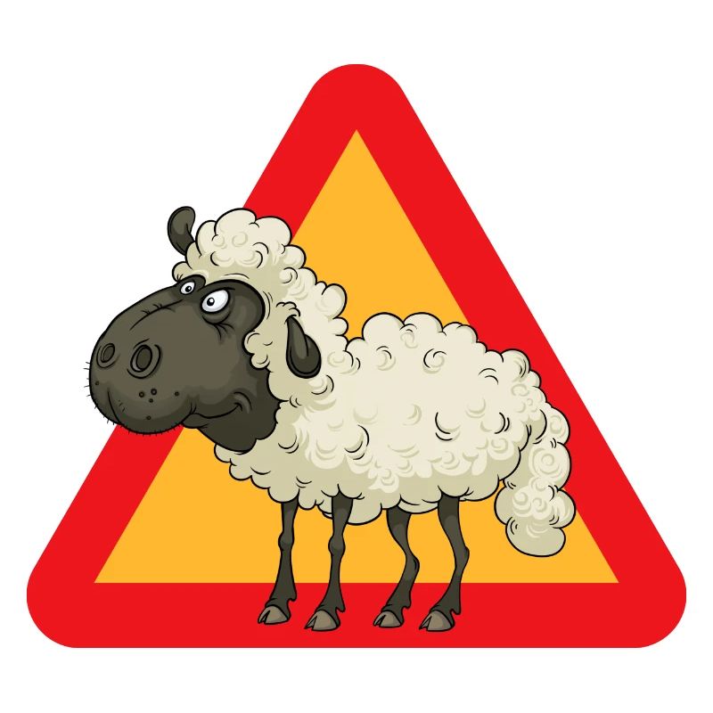sheep