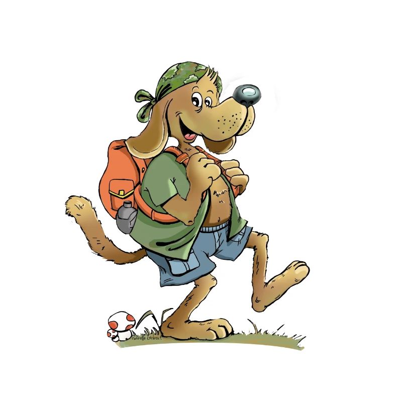 hiker dog