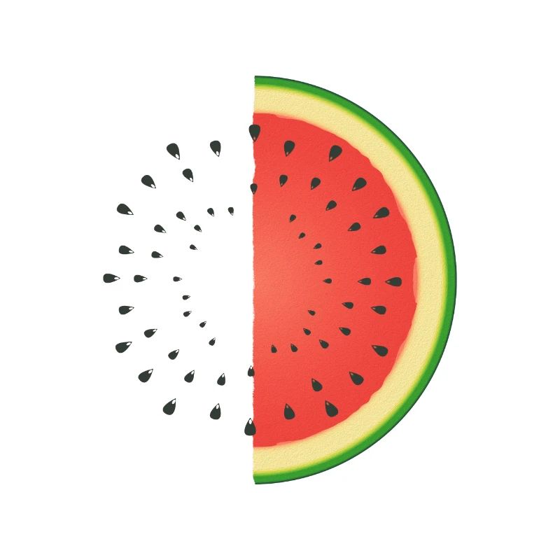 Melon d’eau