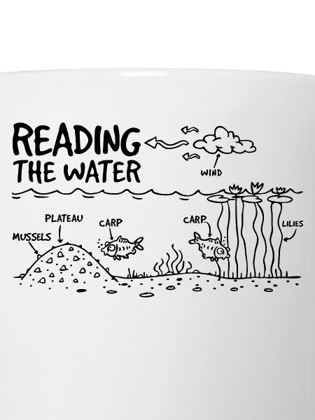 READING THE WATER