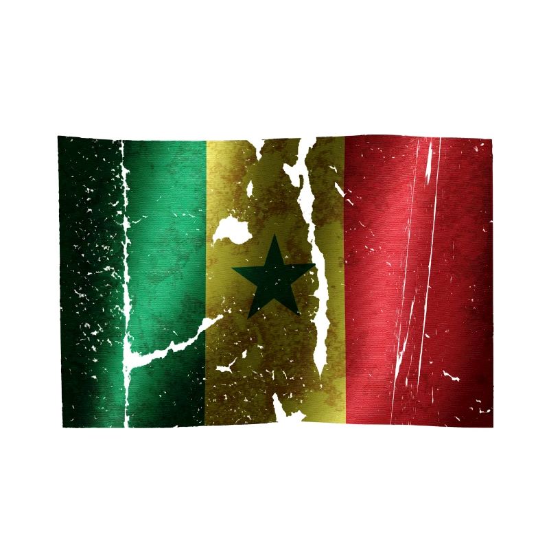 Drapeau du Sénégal cool vintage utilisé look sport