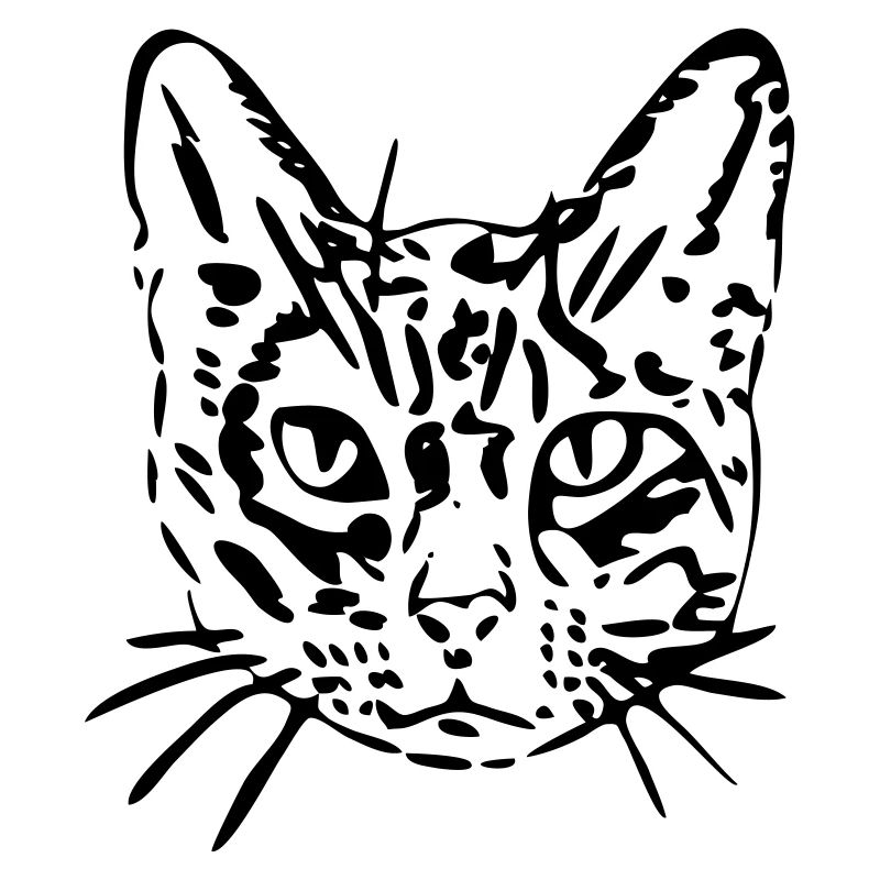 Katze, Mieze, Miezekatze, Geschenk, Geschenkidee