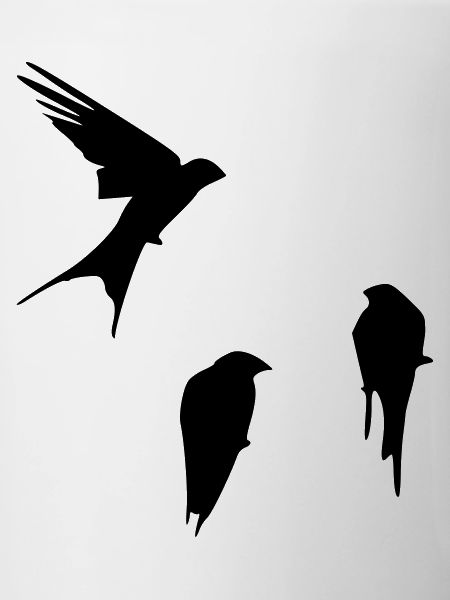 hirondelles