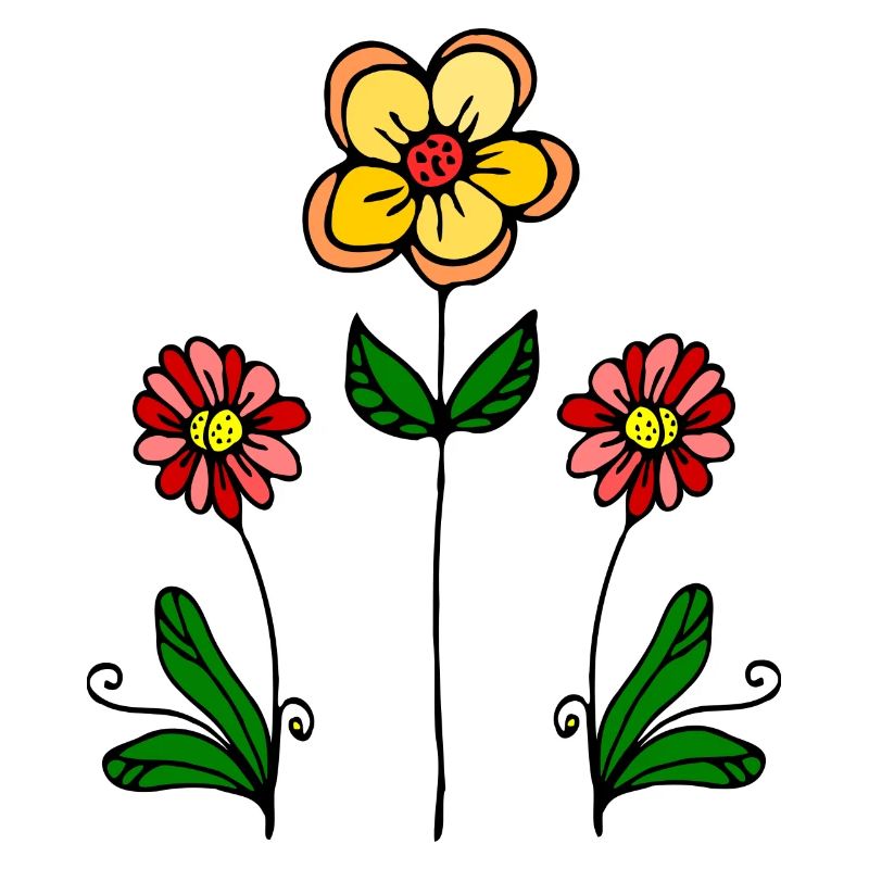 Des fleurs pour toi