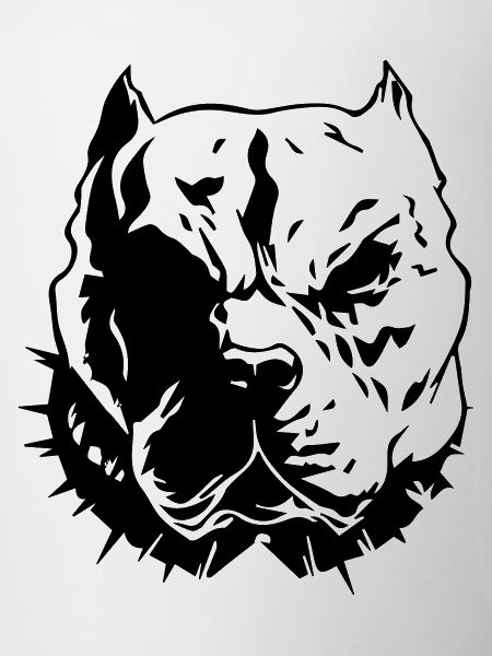 pitbull