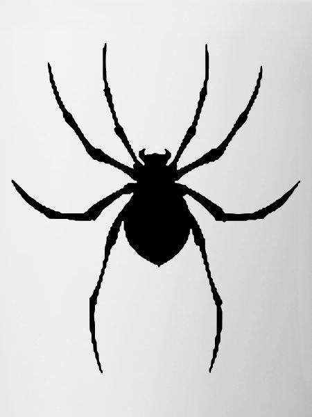 Spider vector graphic