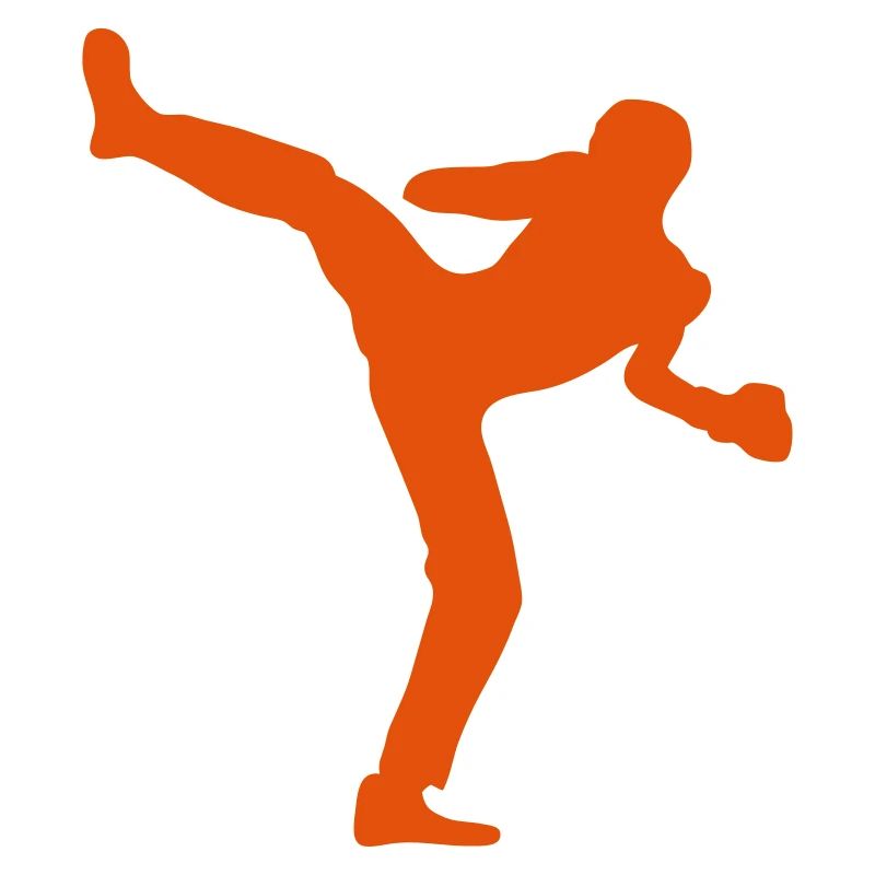 boxe francaise savate