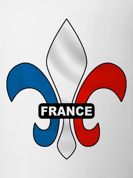 france - fleur de lys
