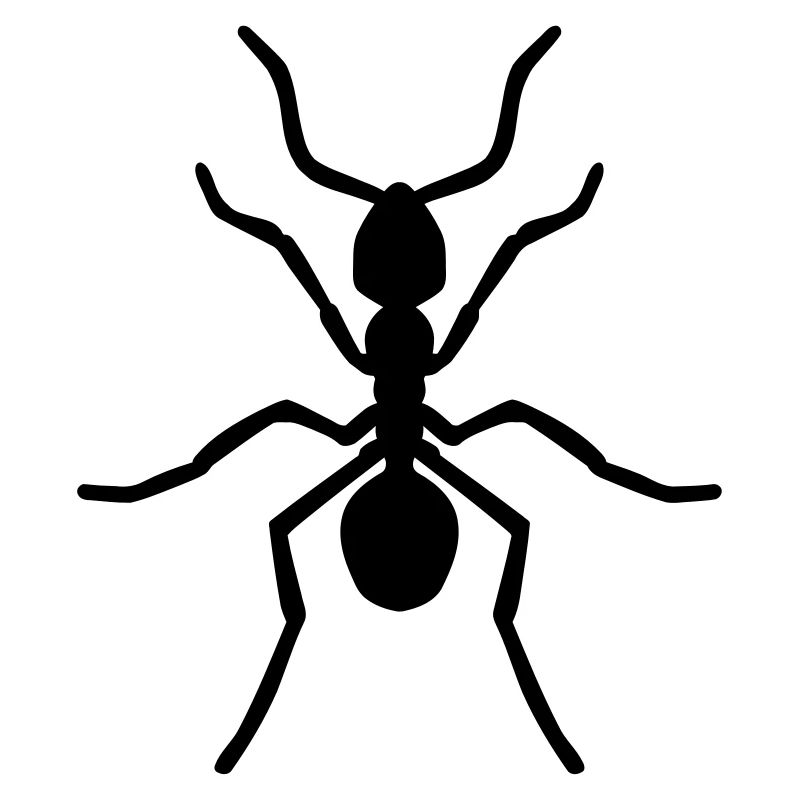 Ant