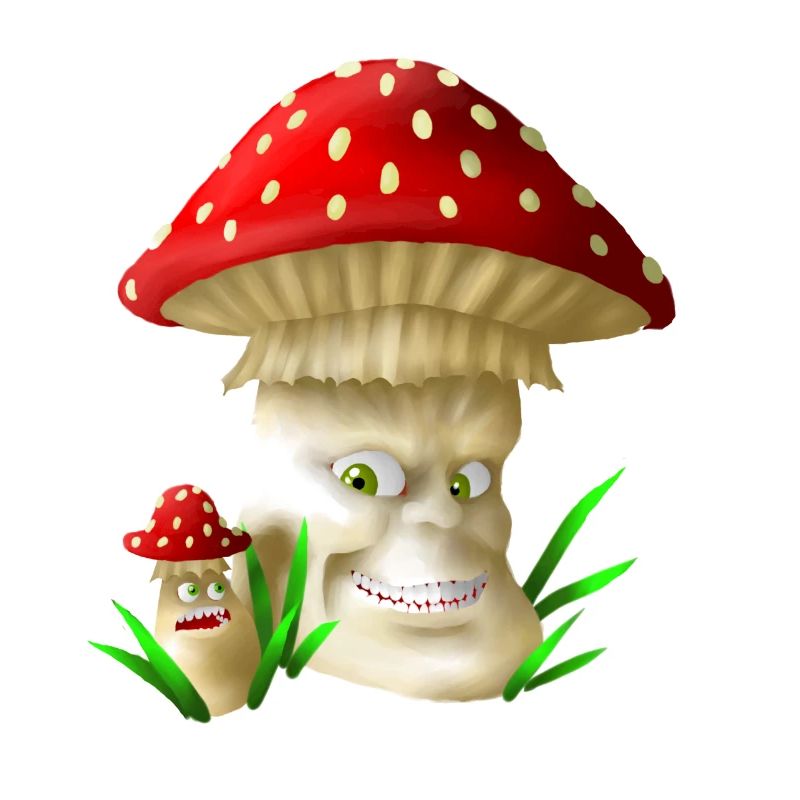 Mushrooms