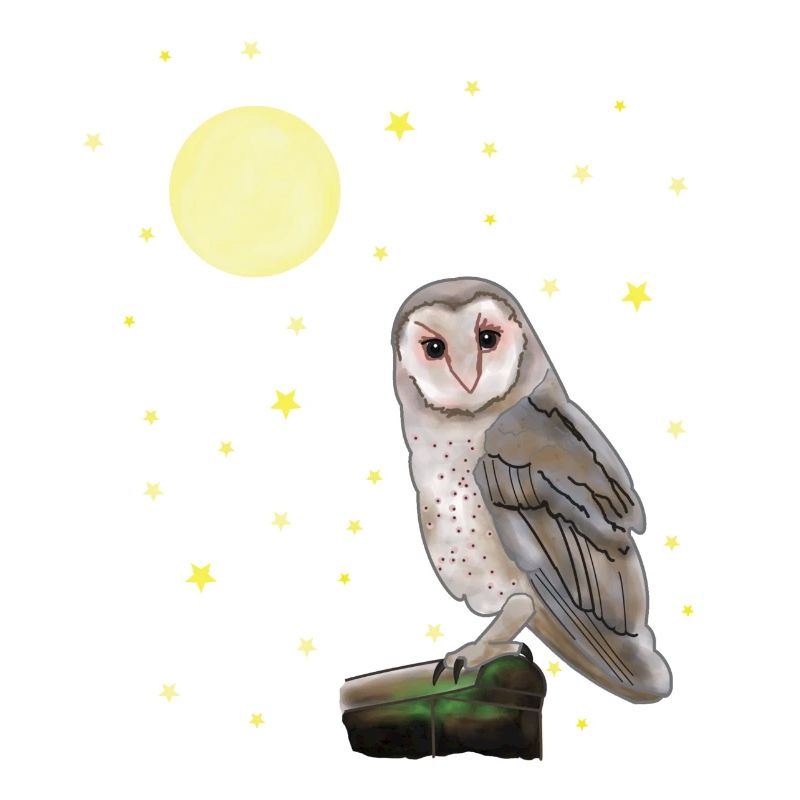 Eule, Mond, Sterne