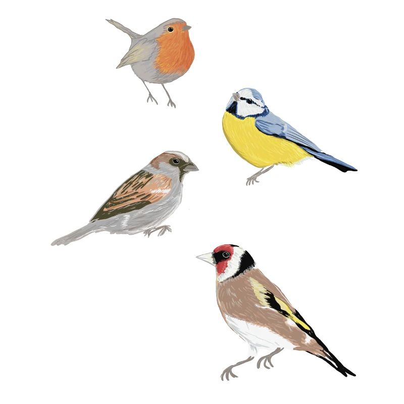 Oiseaux de jardin