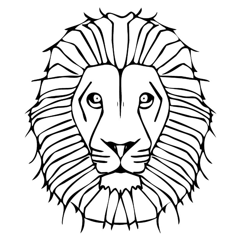 Le lion lion