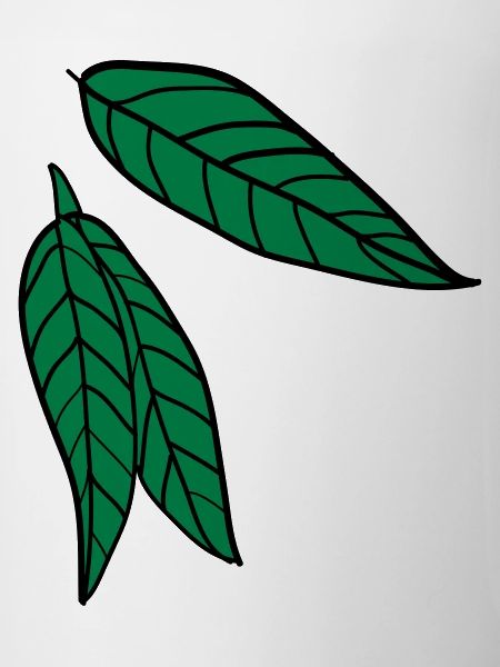 green nature leaves c2
