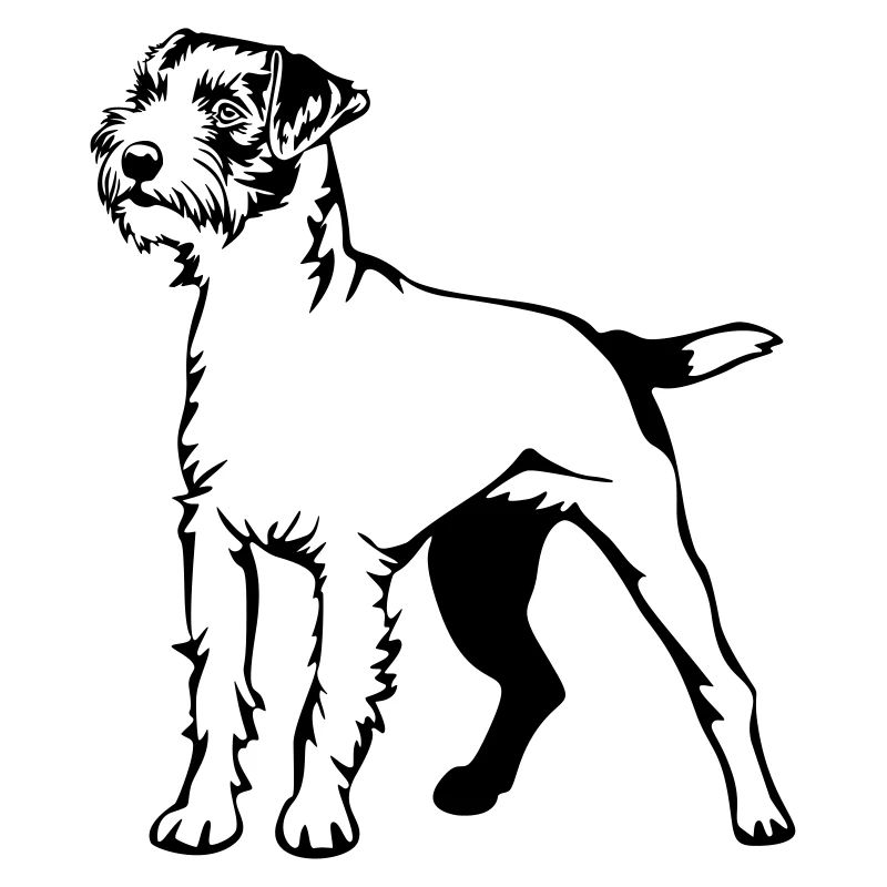 Parson Russell Terrier