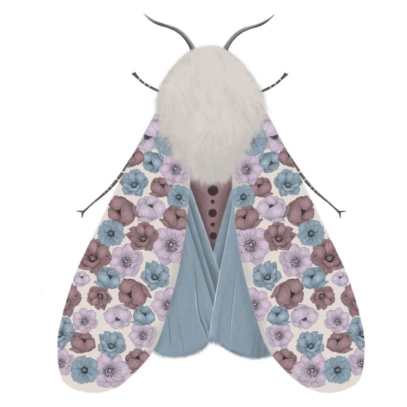 Moth