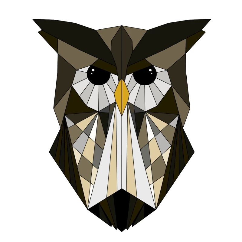 Owl geometric