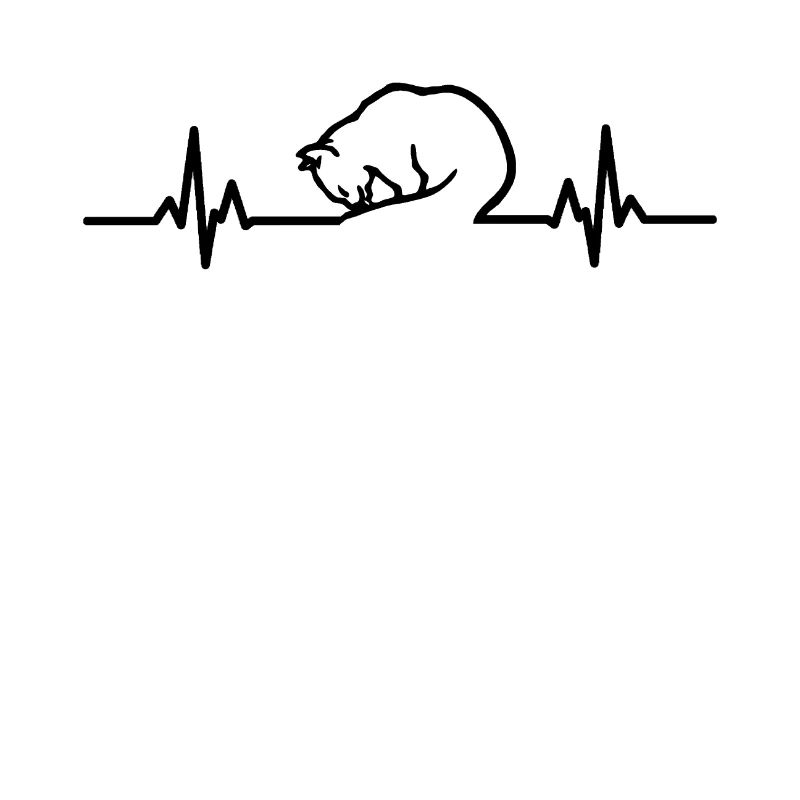 Chat léchant ECG chaton noir