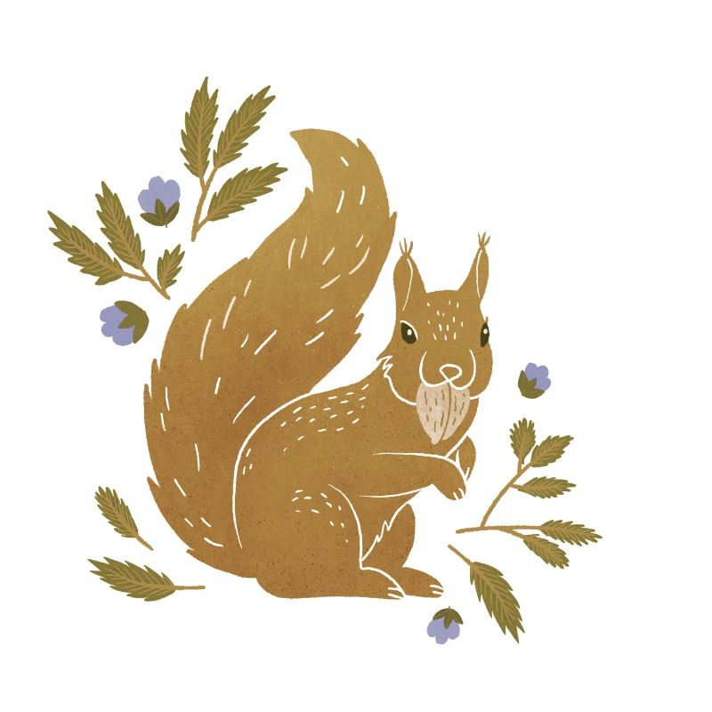 Wilde Tiere - Eichhörnchen