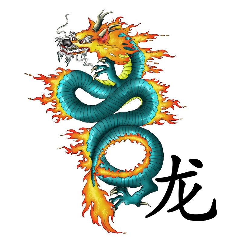 Drache - Long