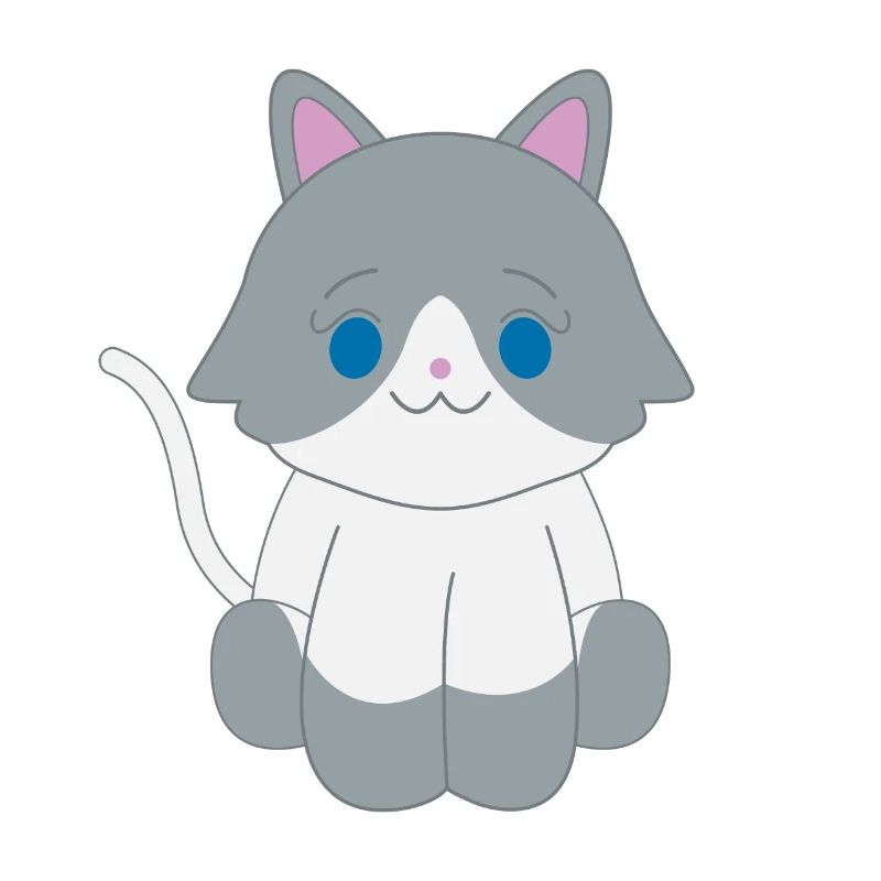 Gray and white cat
