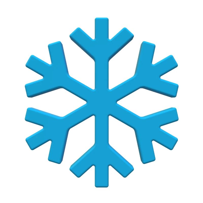 Snowflake Snow Winter cold icefrost