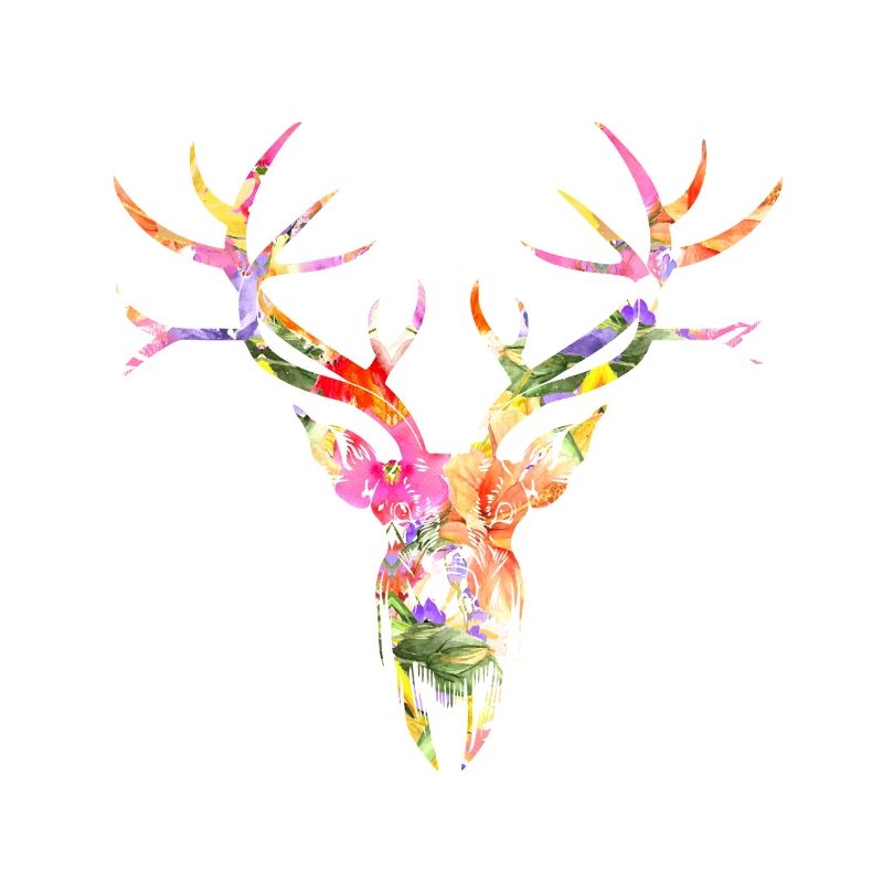 Hirsch