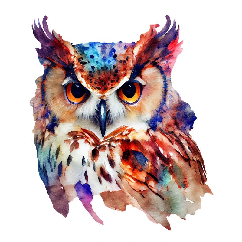 Eule Buntes Aquarell