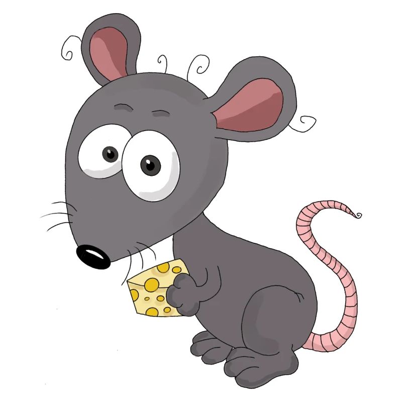 Maus /Ratte