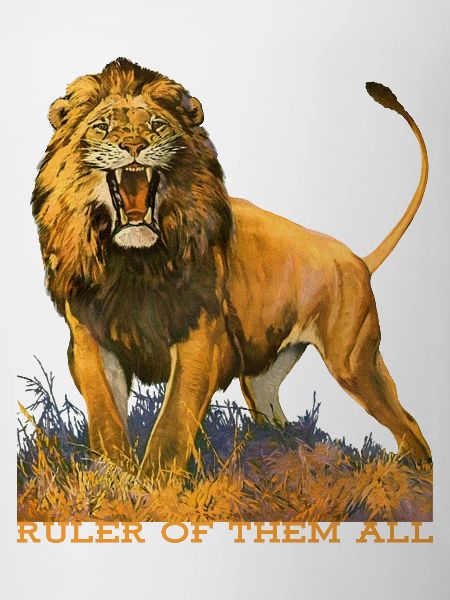 Wildtiere