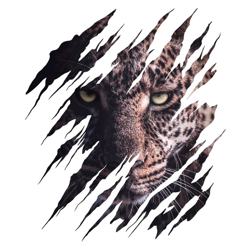 Leopard, scratch marks, claws, wild, big cat, animal