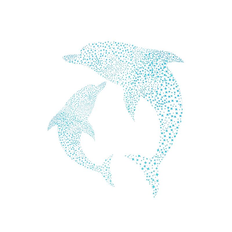 Delfine Dolphins