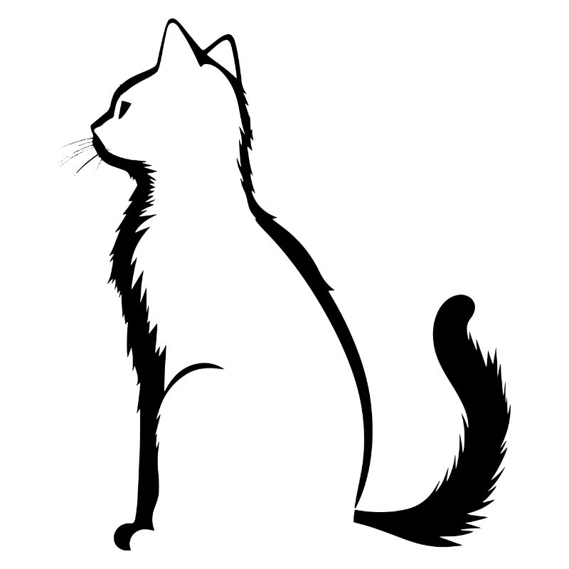 Chat, Motif De Chat