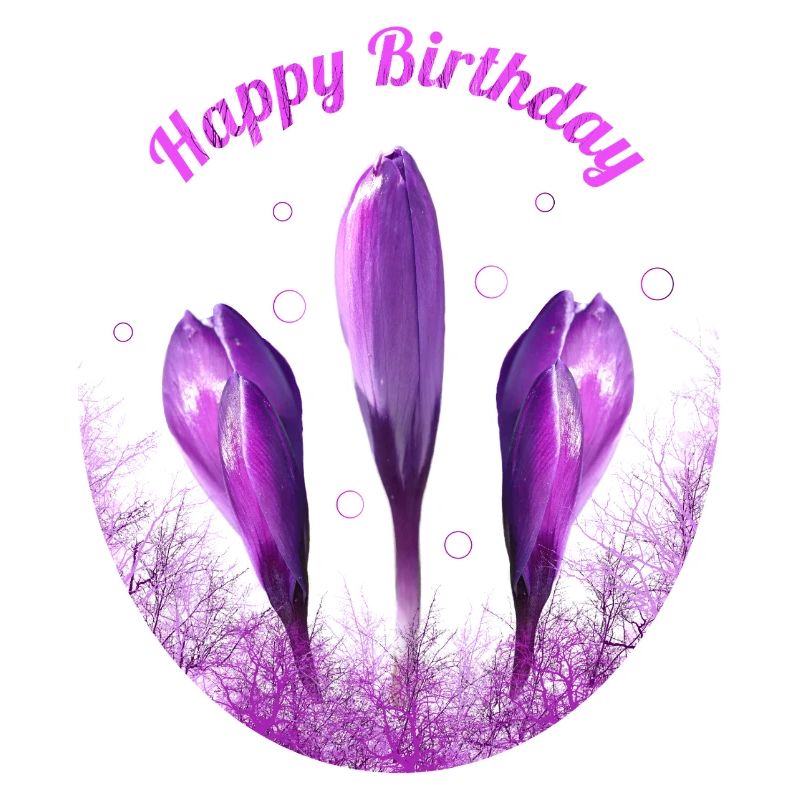 Crocus Joyeux Anniversaire Fleurs