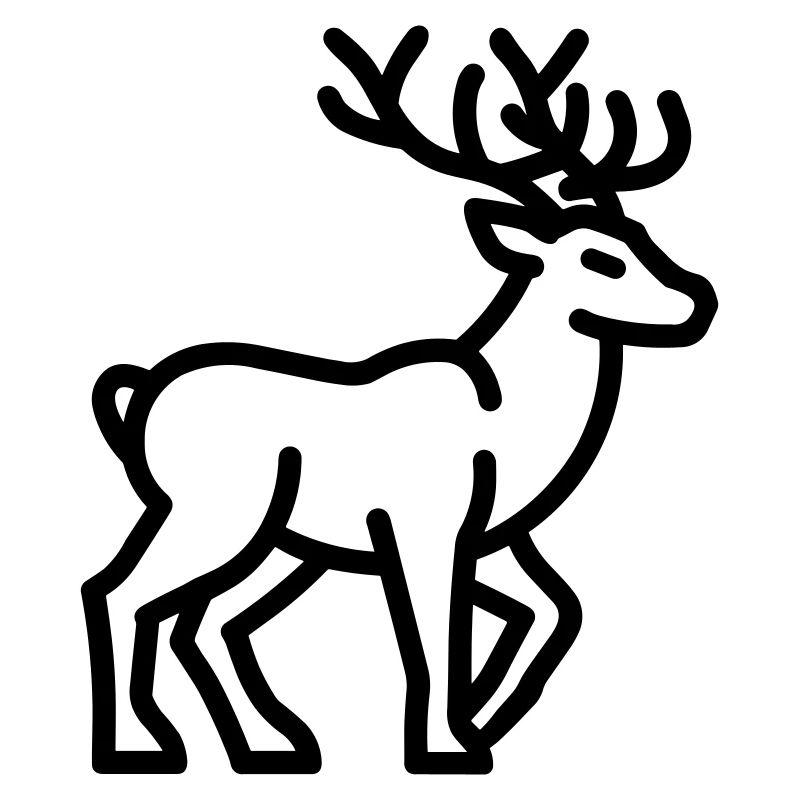 Caribou