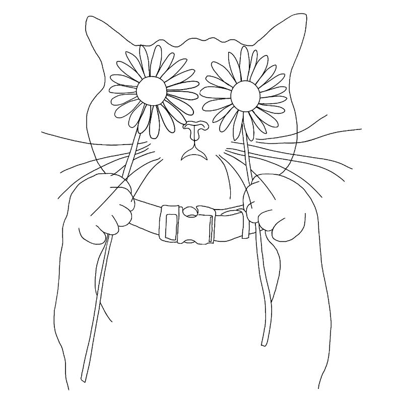 Chat aux marguerites