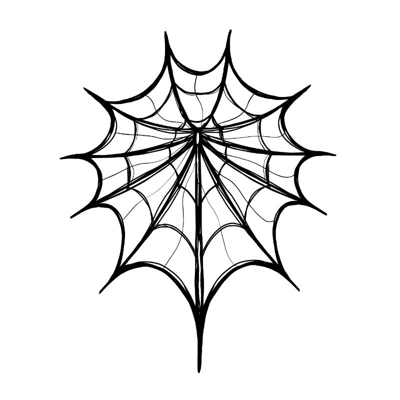Abstract Spider Web – Line Art
