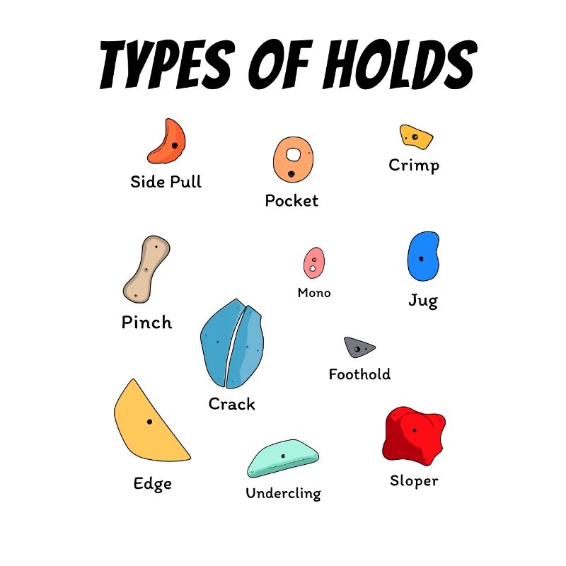 Different Climbing Holds for Bouldering Gym