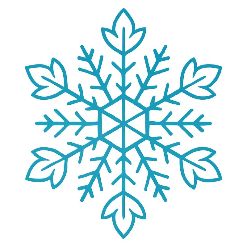 Snowflake | Mountain | Skiing | Snowboarding