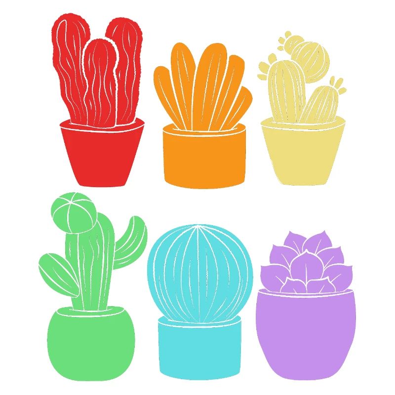 Cacti Plant Cactus