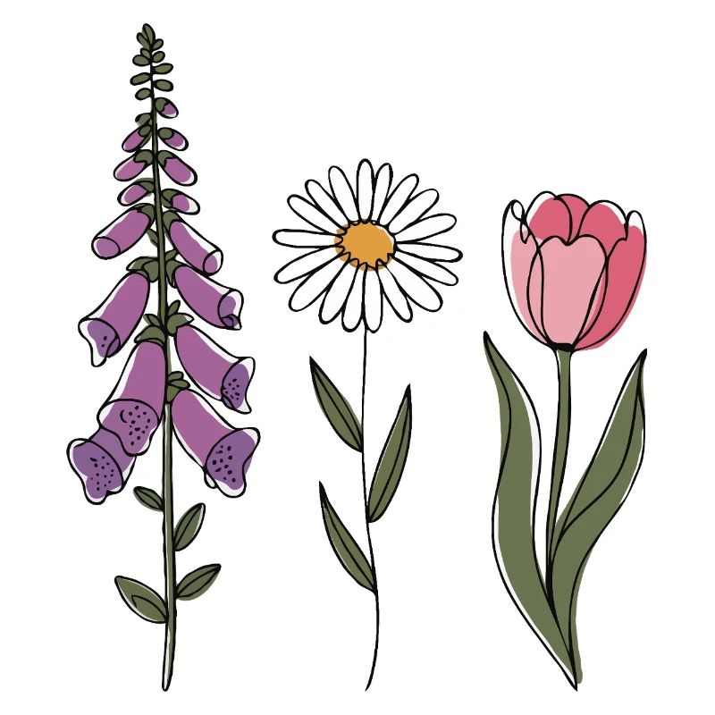 Foxglove-Daisy Tulip III