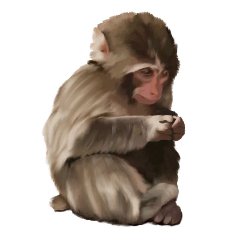 Punch - the lonely monkey