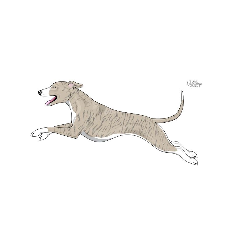 whippetdiamonds2