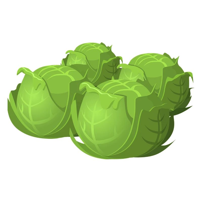 salade