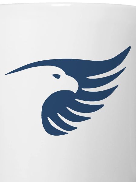 Falco Onboard