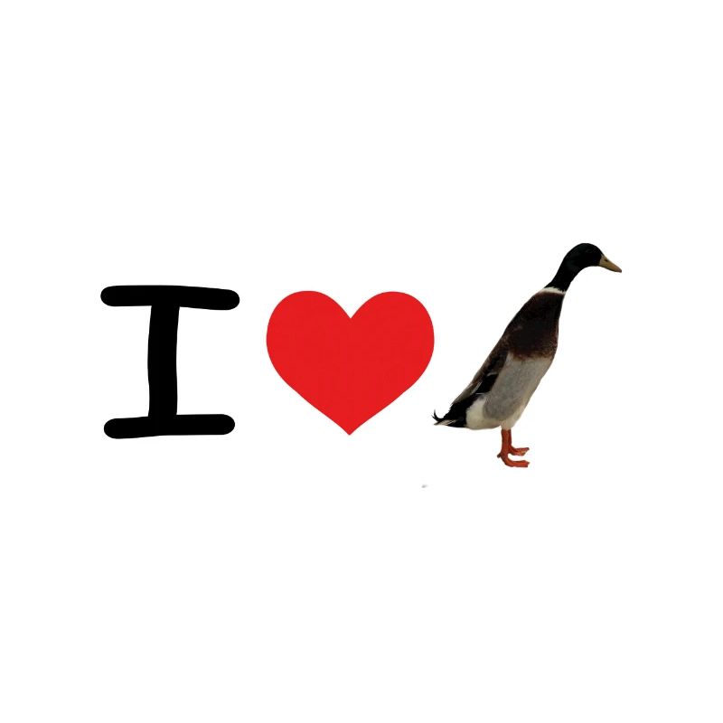 J'aime courir les canards